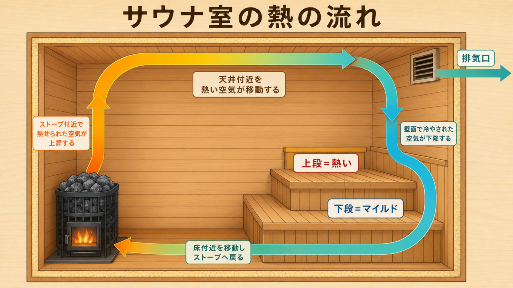 サウナ室の熱の対流の図解